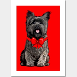 Cairn Terrier Dressed for the Holidays Posters and Art